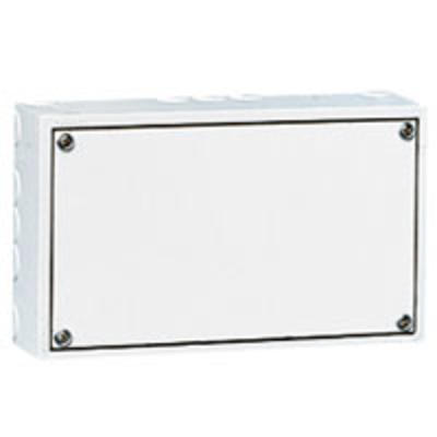 Tableautin - 150x250x35 mm - IP 20 - IK 08 - Blanc RAL 9010