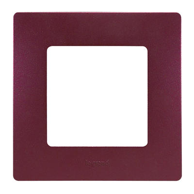 PLAQUE PRUNE 1 POSTE