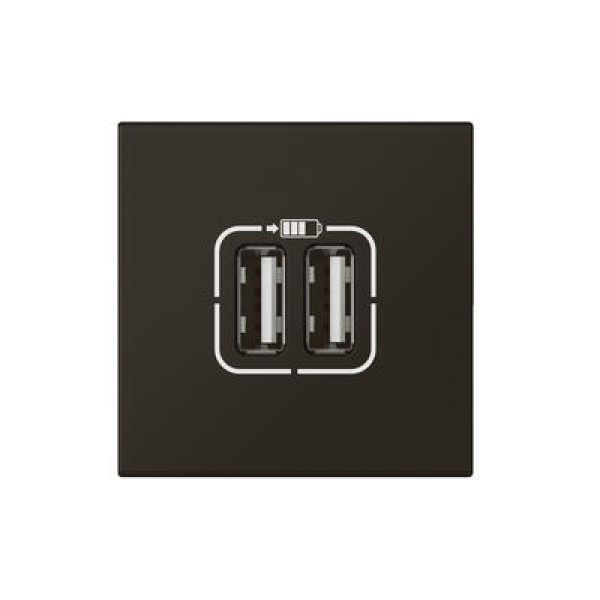 CHARG 2M 2USB A 2.4A 12W