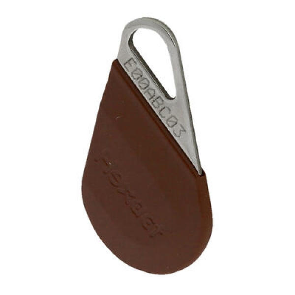 CLE DE PROXIMITE MARRON