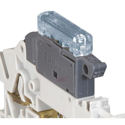 TEMOIN FUSION 12/24/48V AC-DC