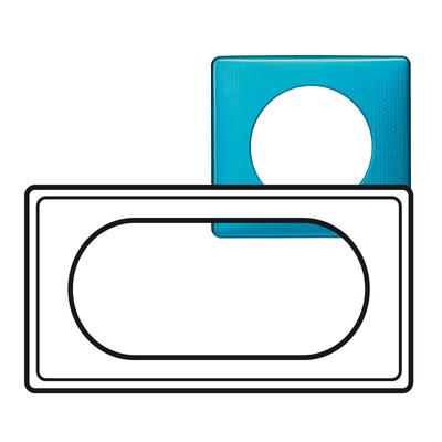 PLAQUE 2P ETENDUE BLUE SNAKE