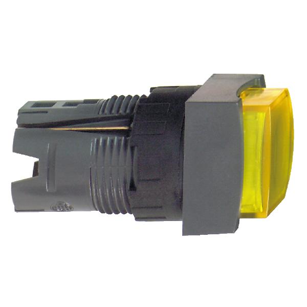 pushbutton head ZB6CE5 sold by 100