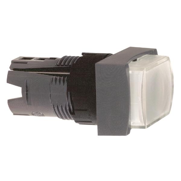 pushbutton head ZB6DE1 sold by 100