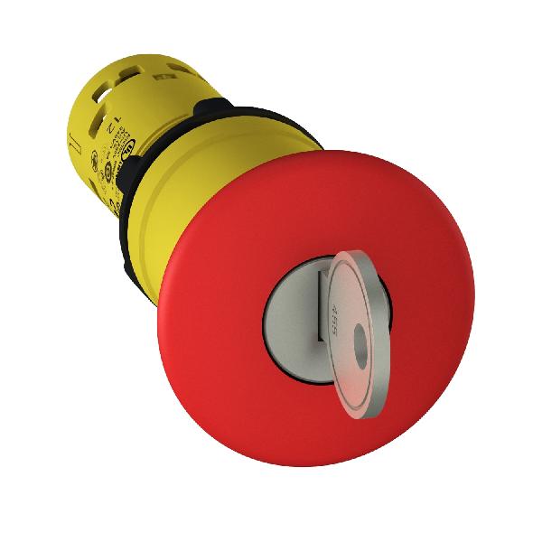 BPAUTRIGDIAM40CLE 455 2NC