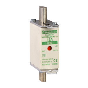 FUSIBLE 1E AM 160A