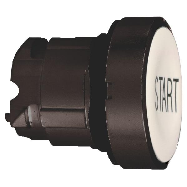 Tête bouton poussoir blanc - métal noir - marquage