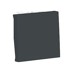 Bouton-p NO/NF 10A rap 2m Anth