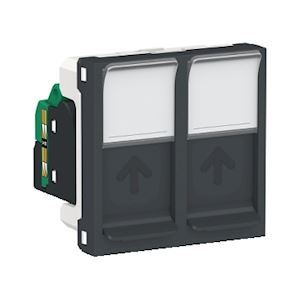 Prise RJ45 x2 cat5UTP 2m Anth