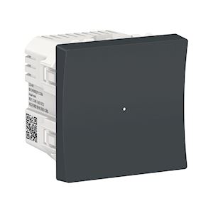 Bouton-pous Bluetooth 10A Anth