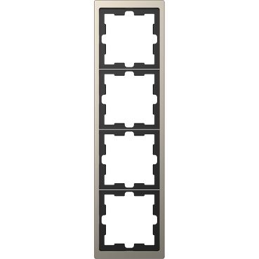 Cadre de finition nickel 4