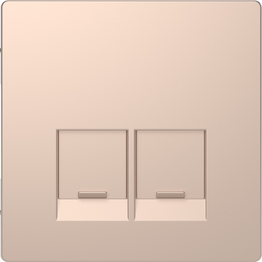 Enjo simple RJ45x2 champagne