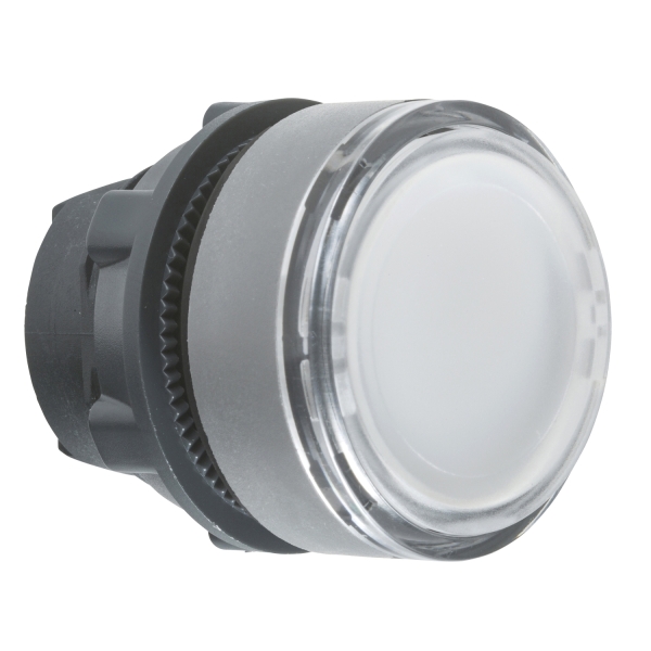 tête BP Ø22 pour étiq blanc