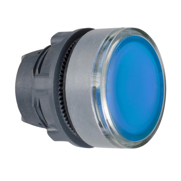 tête bouton poussoir Ø22 bleu