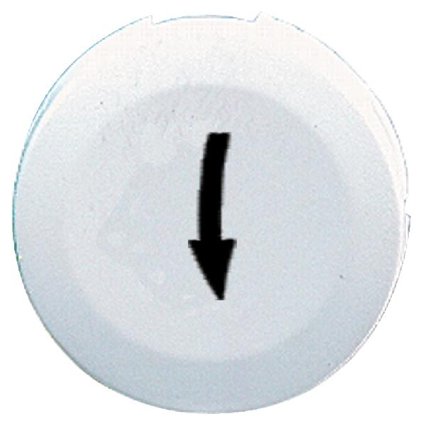 CAPSULE LISSE FLECHE BASS