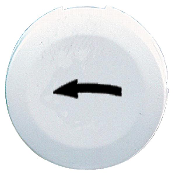 CAPSULE LISSE FLECHE GAUC