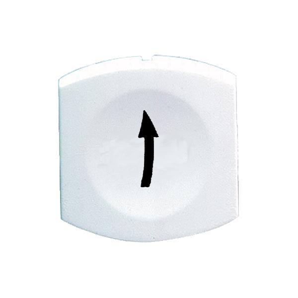 CAPSULE LISSE FLECHE HAUT