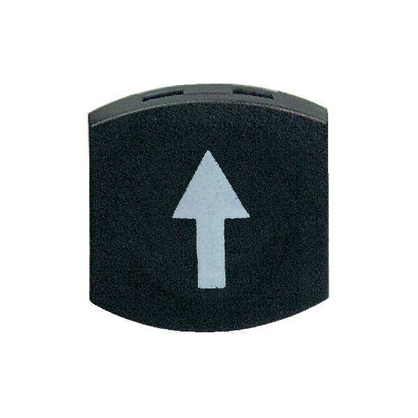 CAPSULE LISSE FLECHE HAUT