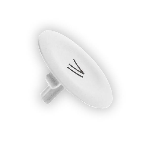 CAPSULE IV