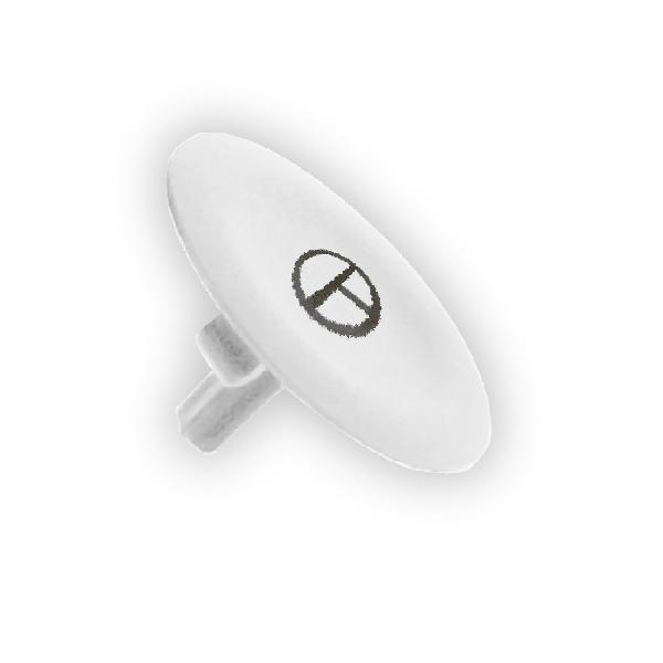 CAPSULE T