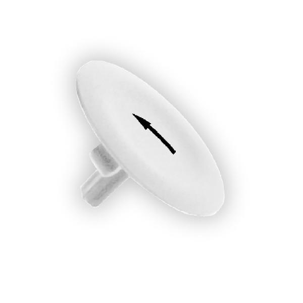 CAPSULE FLECHE
