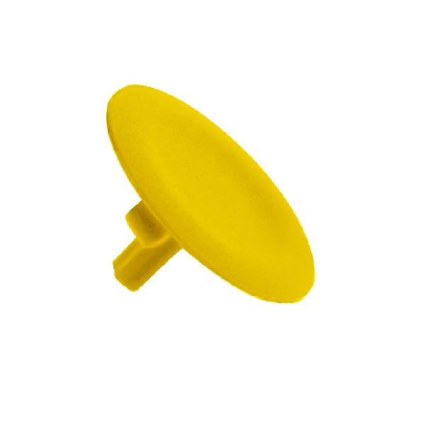 CAPSULE POUSS.AFFLEURANT