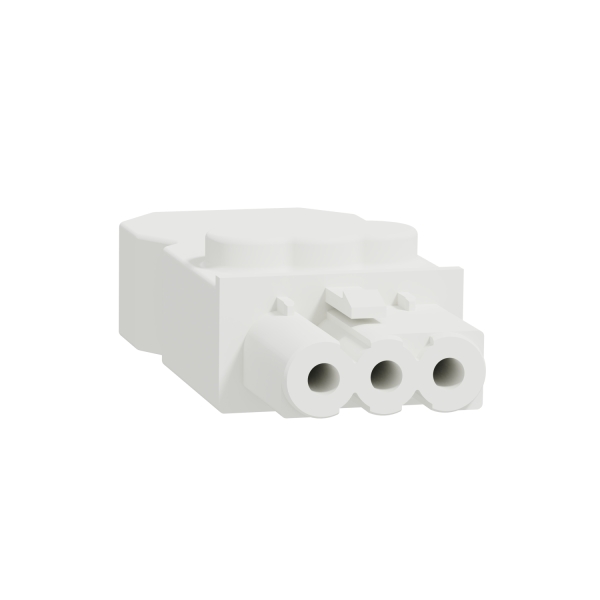 Conn MiniWieland fem droit x5